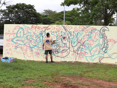 Portais de acesso ao Parque da Cidade homenageiam, com grafite, figuras importantes para a capital