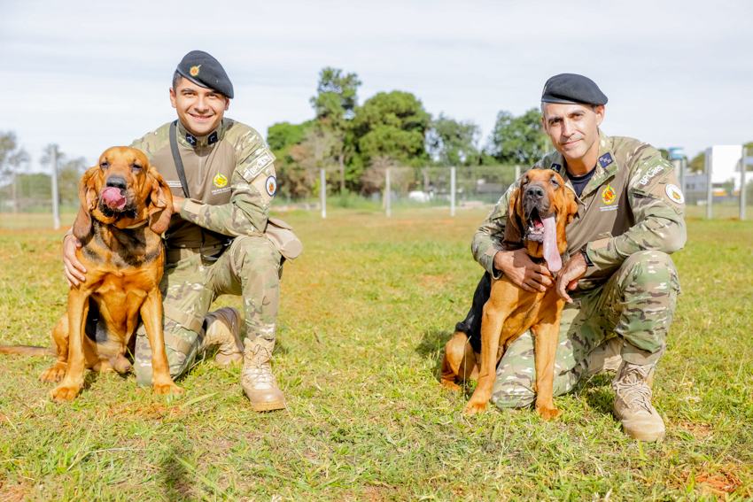 Cães farejadores de raça conceituada reforçam segurança no DF