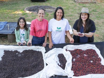 Cafeicultoras se unem para fortalecer cadeia produtiva do grão no DF