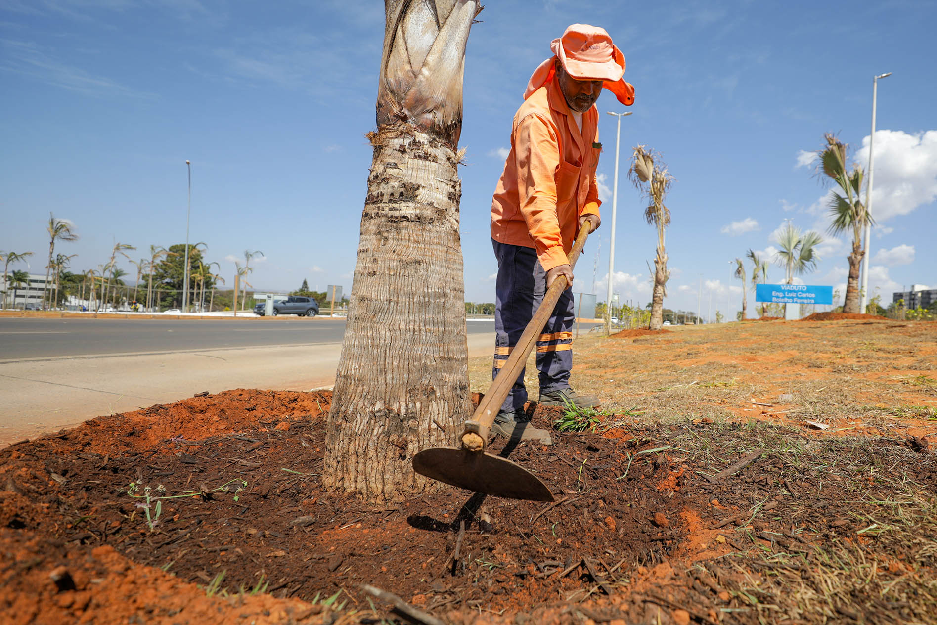 Obras na Epig têm plantio de mais de 12,5 mil árvores como compensação ambiental