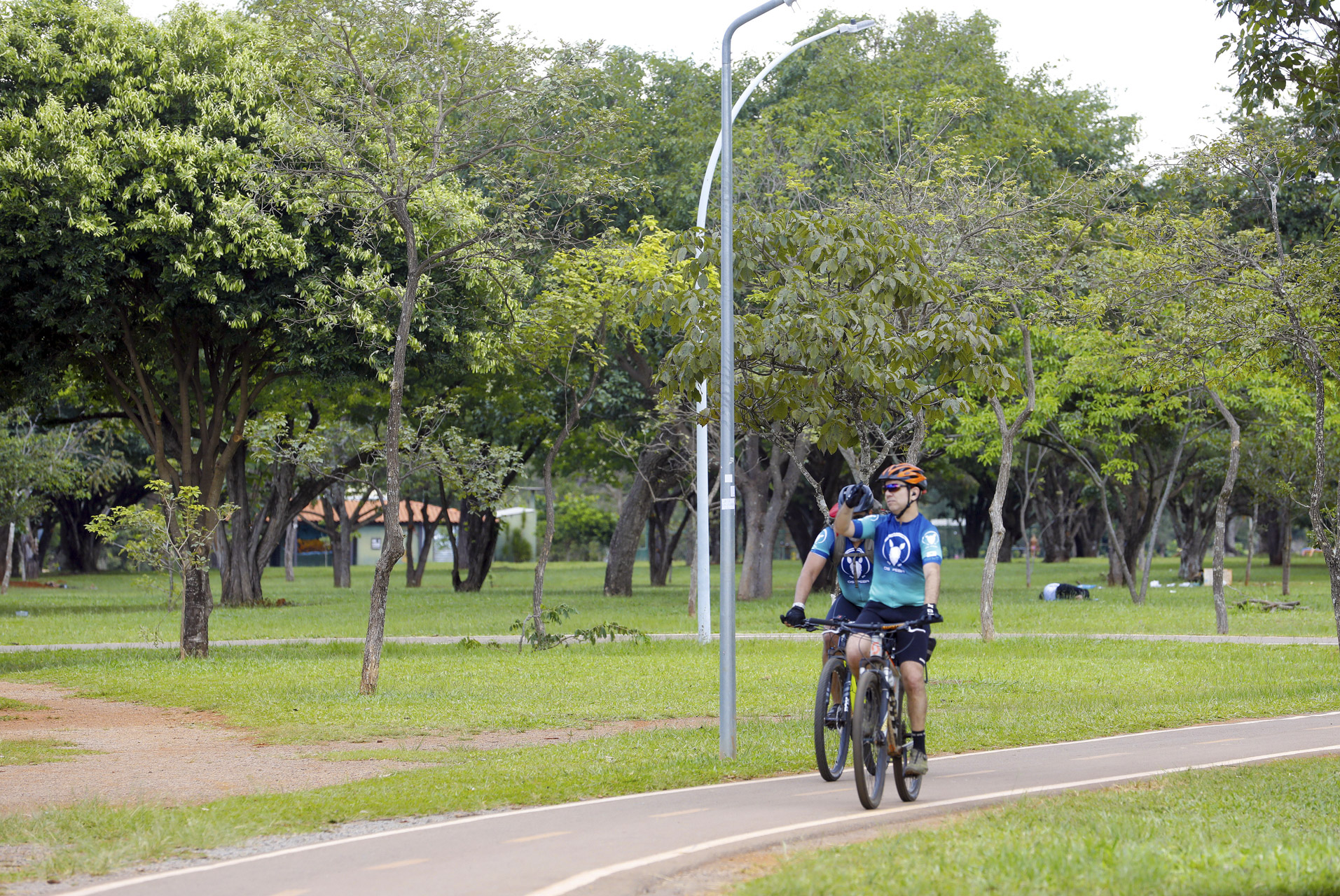 Cidade-parque, Brasília é a quinta capital mais arborizada do país