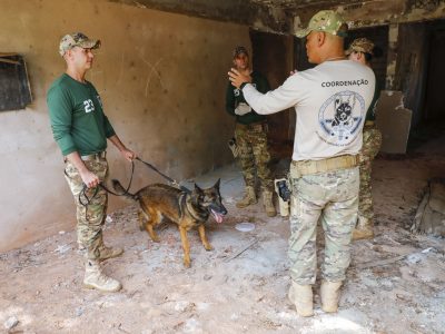 BPCães expande curso especializado em detecção de substâncias para outros estados