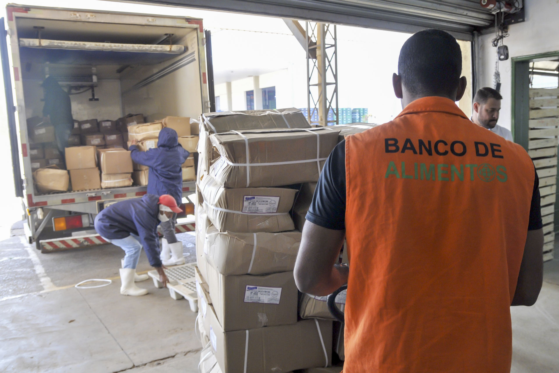 Banco de Alimentos recebe mais de 1,5 tonelada de pescados apreendidos em ações de fiscalização