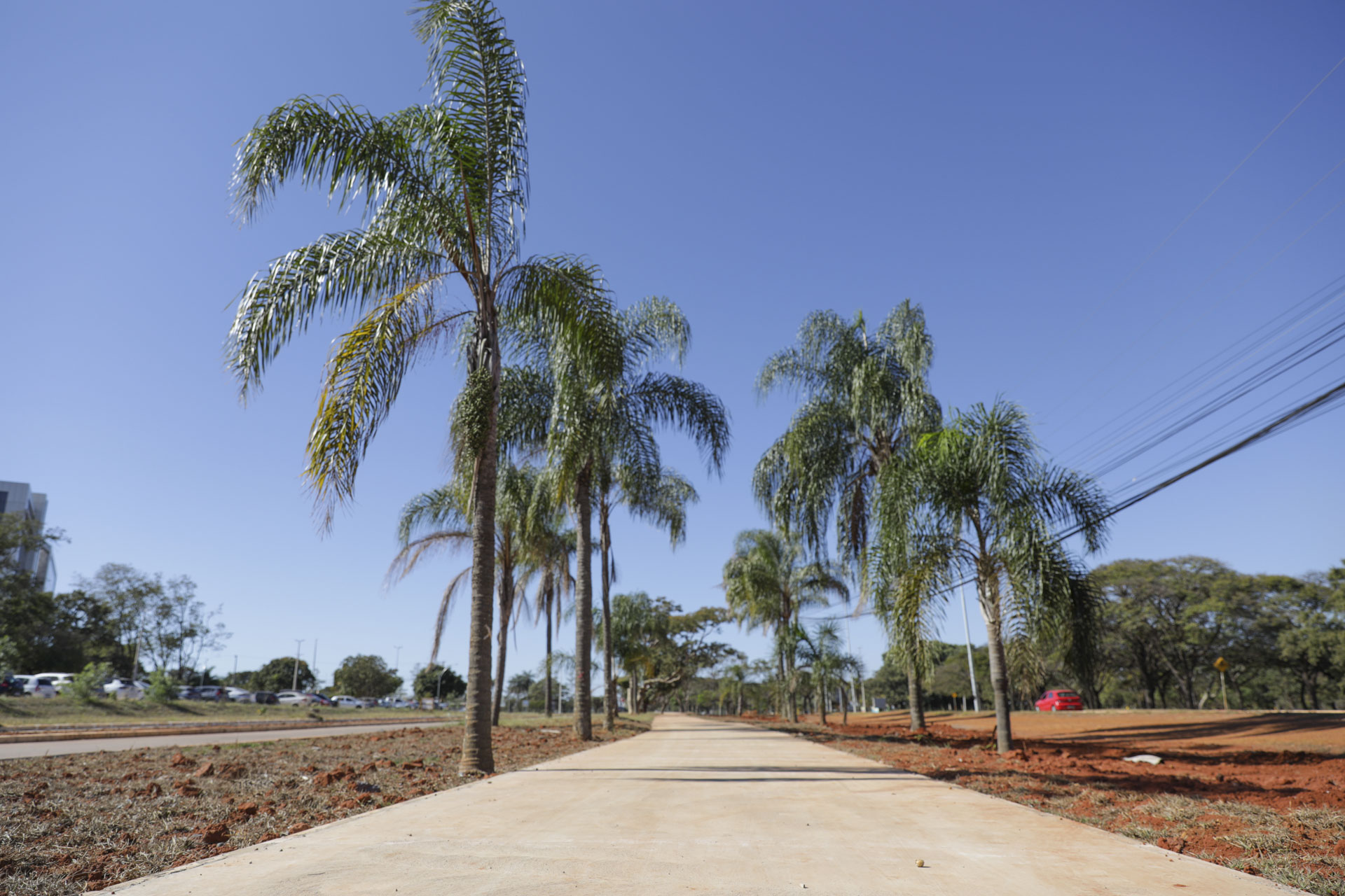 Com segunda maior malha cicloviária do país, DF incentiva mobilidade ativa e investe em qualidade de vida para a população