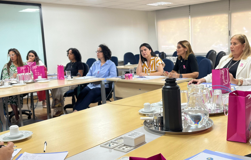 Conselho define prioridades e planeja ações para fortalecer políticas de gênero no DF