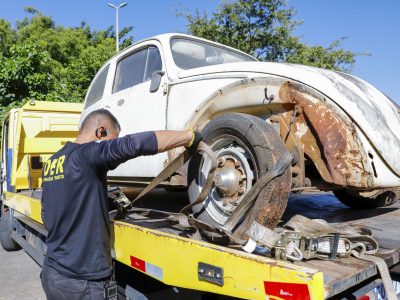 Operação recolhe mais de 25 carcaças no Cruzeiro