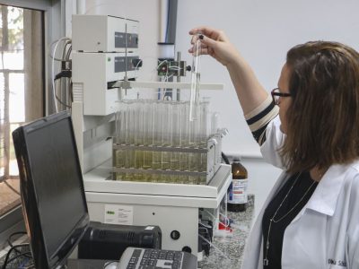 Unidades de conservação do DF auxiliam pesquisa para tratamento de diabetes