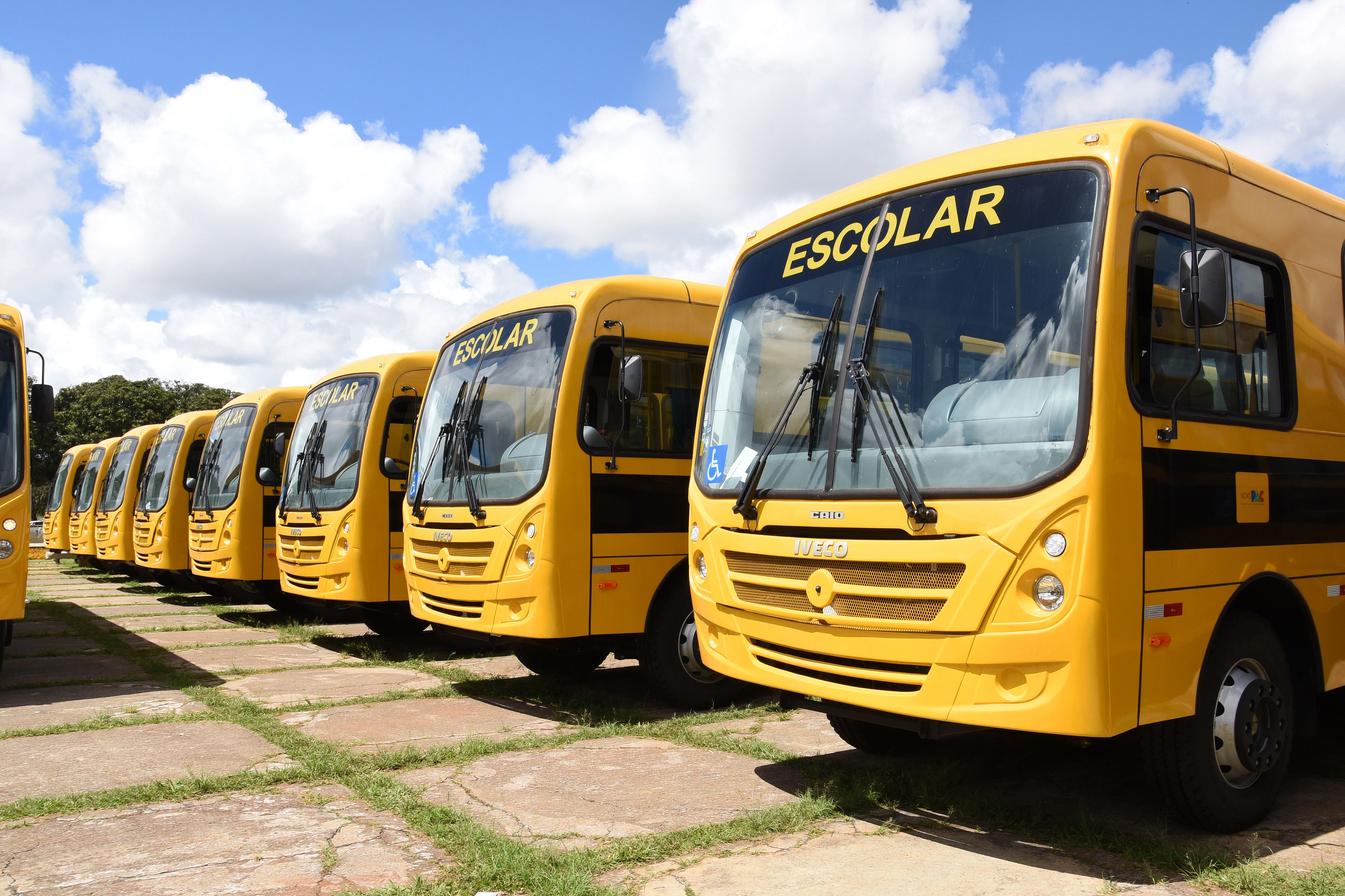 Confira quem tem direito e como solicitar o transporte escolar