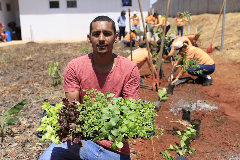Horto Agroflorestal Medicinal é inaugurado na UBS 1 do Jardins Mangueiral
