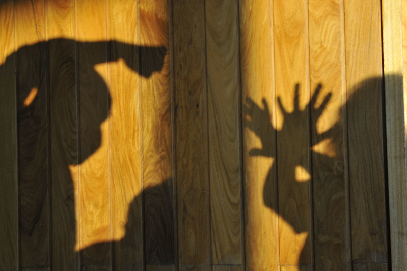 Parcerias entre PCDF e instituições aumentam atendimento a mulheres vítimas de violência no DF