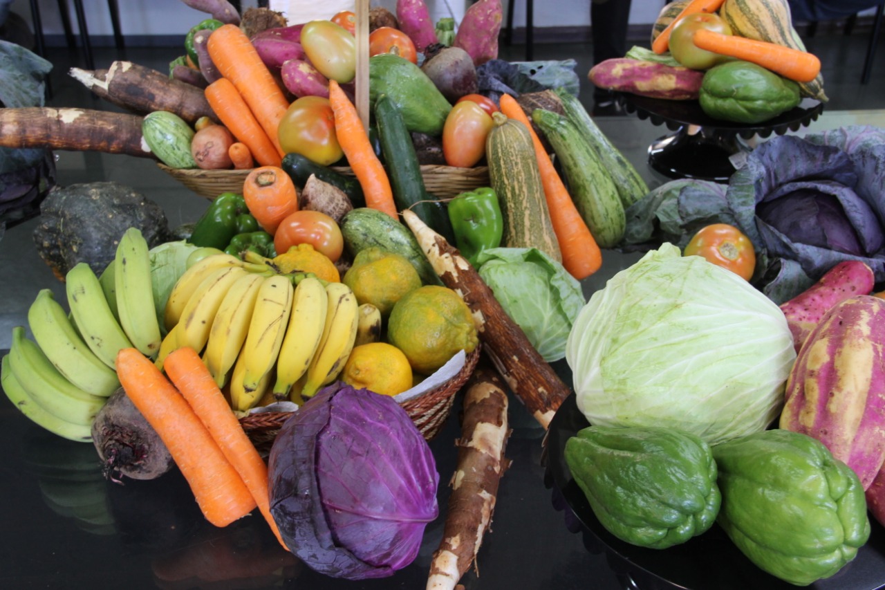 GDF compra mais de 63 mil cestas verdes da agricultura familiar