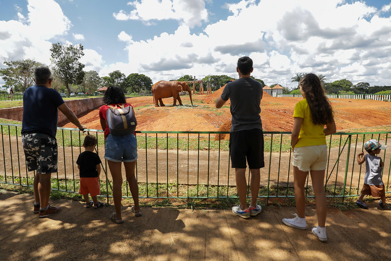 Jardim Botânico e Zoológico de Brasília mais do que dobraram o número de visitantes com programa Lazer para Todos