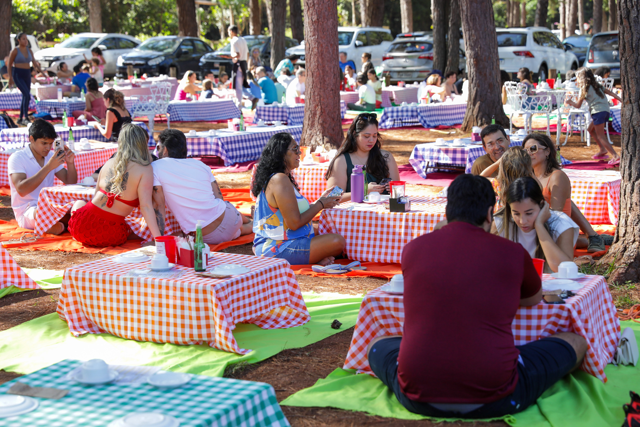Programação gratuita do fim de semana traz arte, música, esporte e cinema