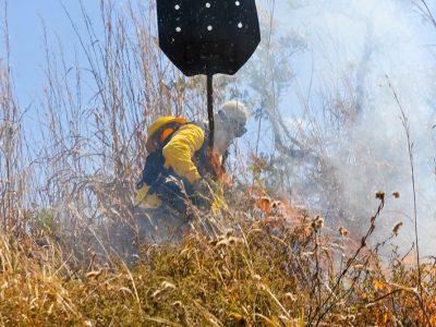 GDF investe em ações conjuntas para evitar incêndios na época da seca