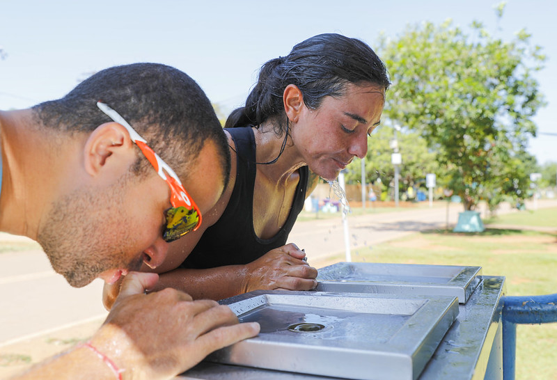 Viveu o Carnaval intensamente? Confira dicas para amenizar impactos no corpo