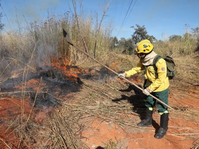 Saiba quais são os canais para denunciar incêndios florestais no DF