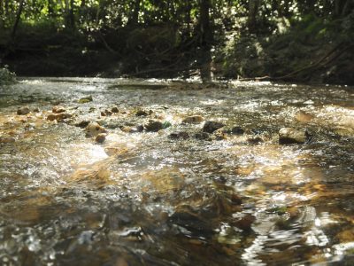 Pesquisadores vão avaliar impactos ambientais em áreas de proteção de mananciais no DF