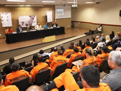 GDF participa de evento com troca de informações sobre bancos de leite humano