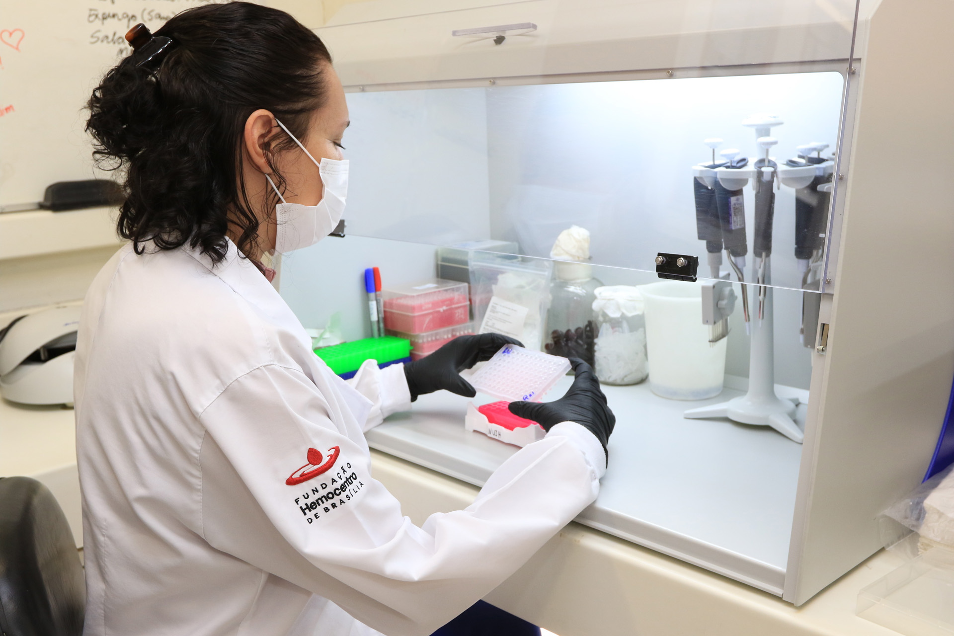 Evento discute importância do autocuidado do paciente da doença falciforme