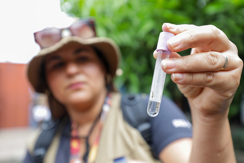 DF registrou redução de 96% nos casos prováveis de dengue em 2025