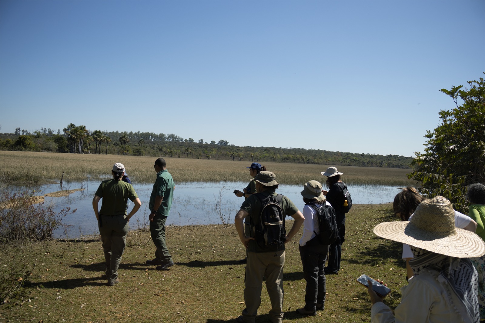 Pesquisadores defendem indicação da Estação Ecológica de Águas Emendadas a Patrimônio Mundial Natural da Unesco