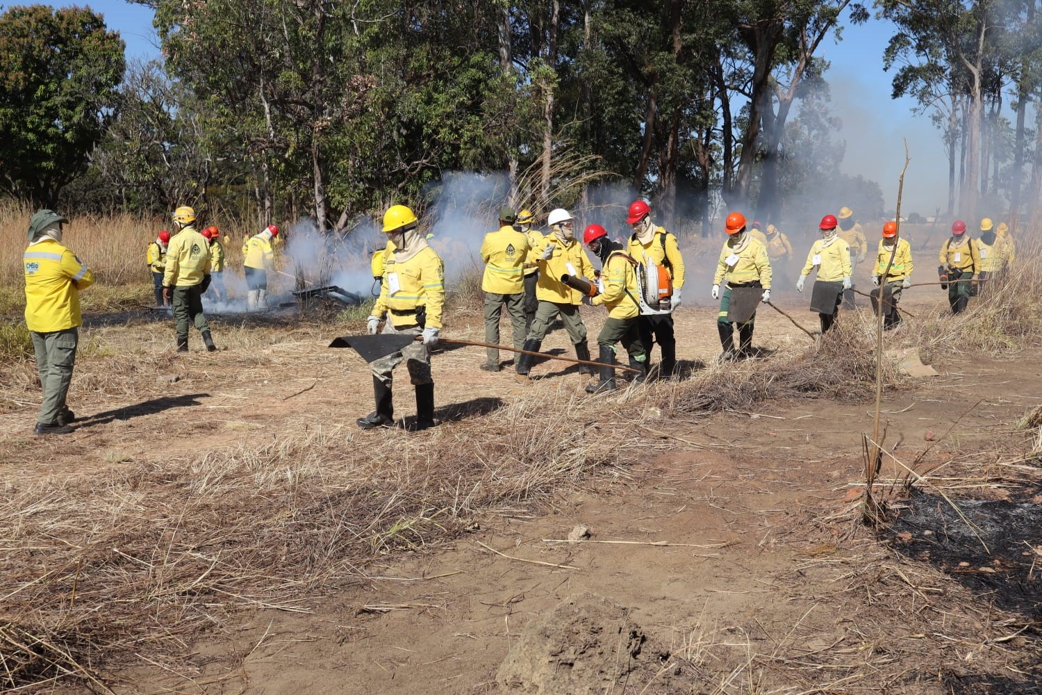 Documentário especial mostra processo de seleção e formação da Brigada Florestal do DF