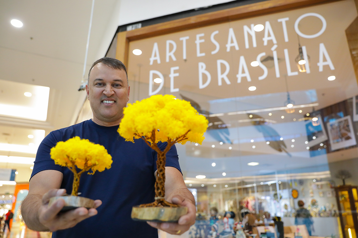Floração dos ipês que colorem o Distrito Federal inspira artesãos da capital