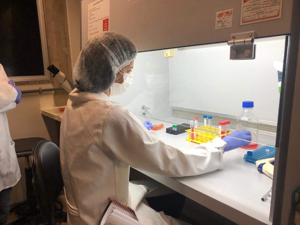 Em pesquisa apoiada pela FAPDF, vacina avança como alternativa contra câncer de mama agressivo