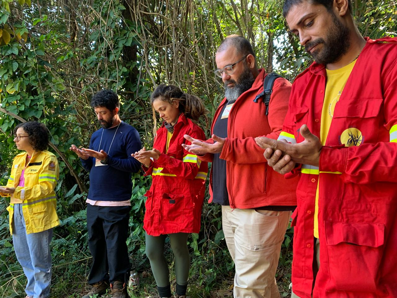 Projeto Agroflorestando promove restauração produtiva e engajamento comunitário no Cerrado