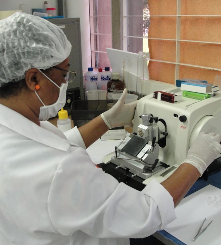 Pesquisa apoiada pela FAPDF abre caminho para novas terapias contra o câncer de cabeça e pescoço