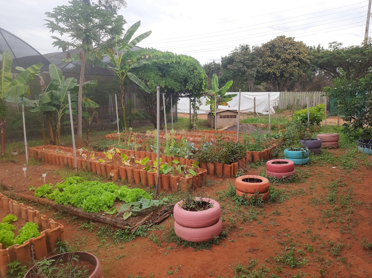 Mês do Cerrado terá arte e educação ambiental no Centro de Práticas Sustentáveis