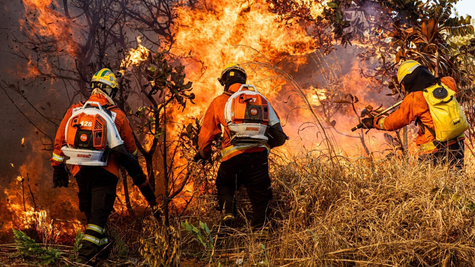 Incêndios florestais diminuem 54% no DF no primeiro semestre de 2025