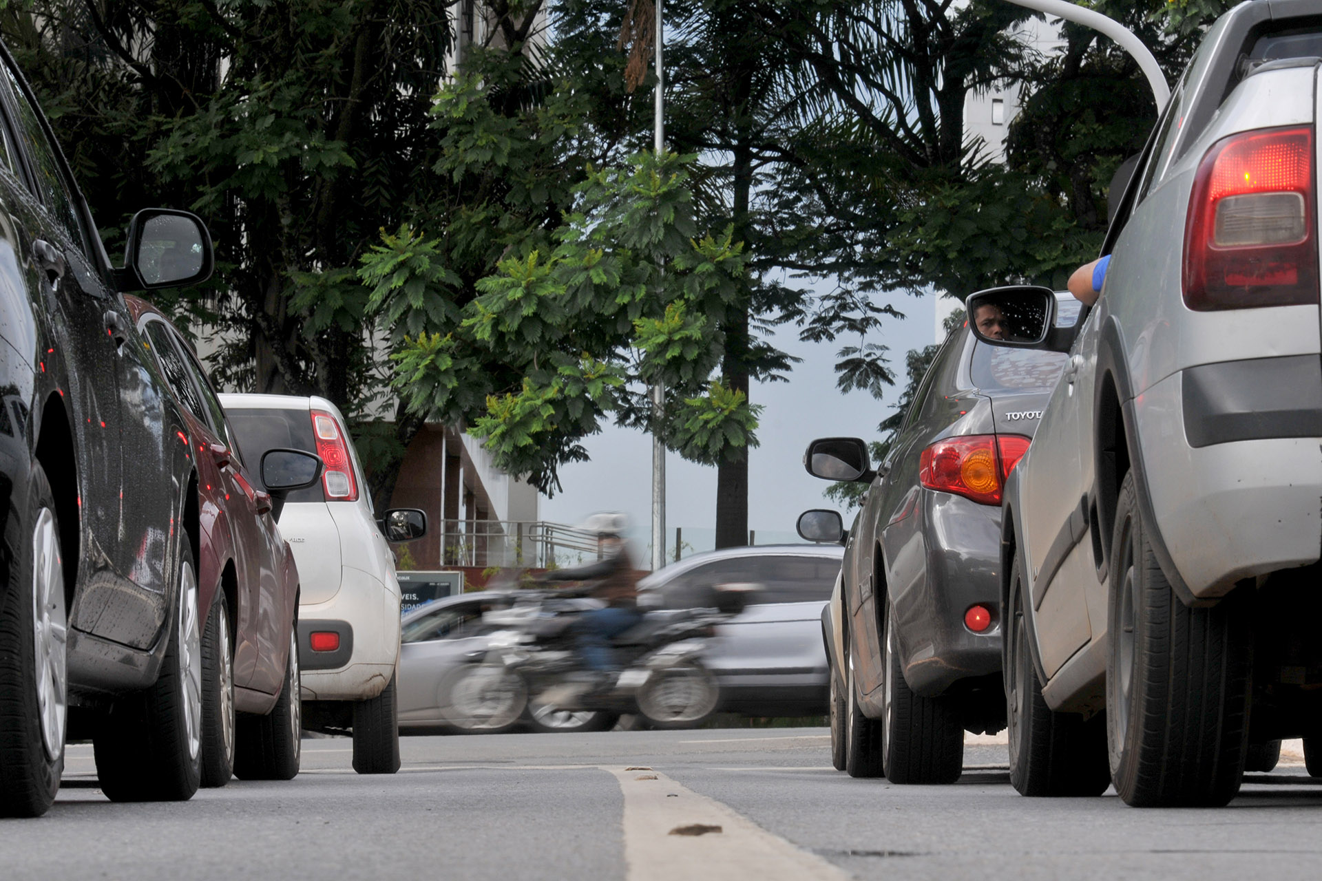 IPVA: confira datas de pagamento da sexta e última parcela
