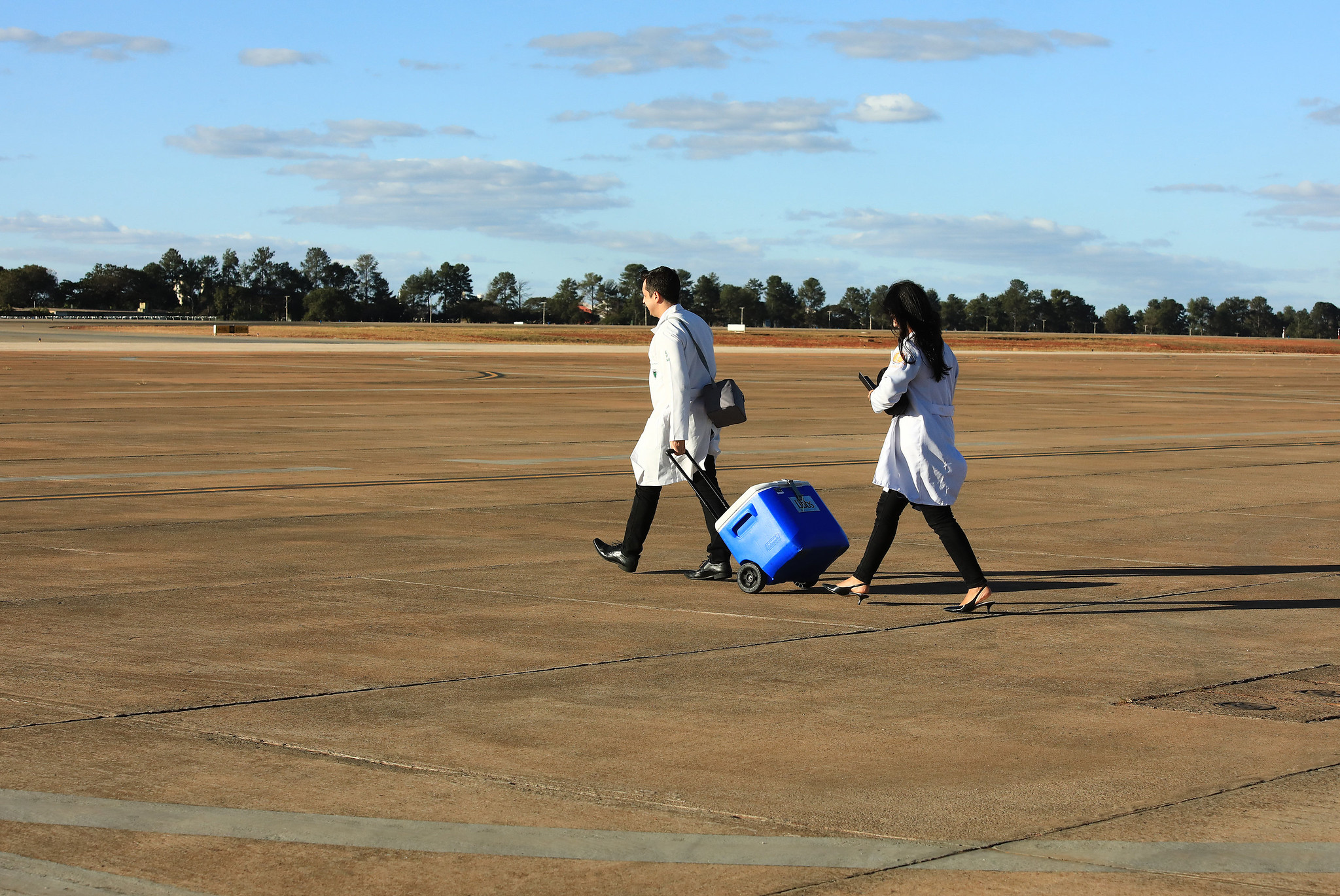Distrito Federal registrou recorde de transplantes de coração, fígado e medula óssea em 2024