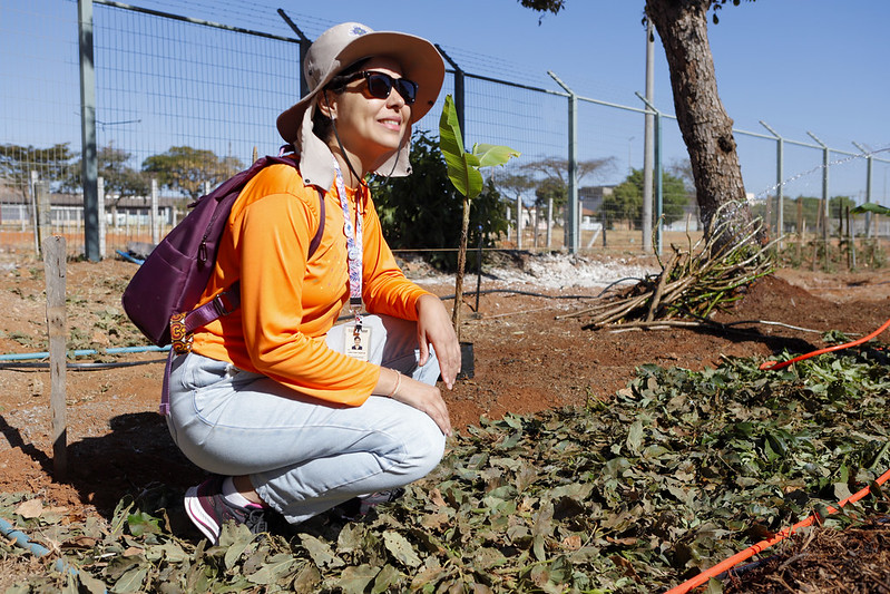 Centro de assistência social de Ceilândia recebe horto agroflorestal