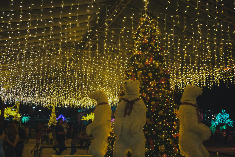 Nosso Natal 2025 transforma a Esplanada dos Ministérios no maior circuito natalino gratuito do DF