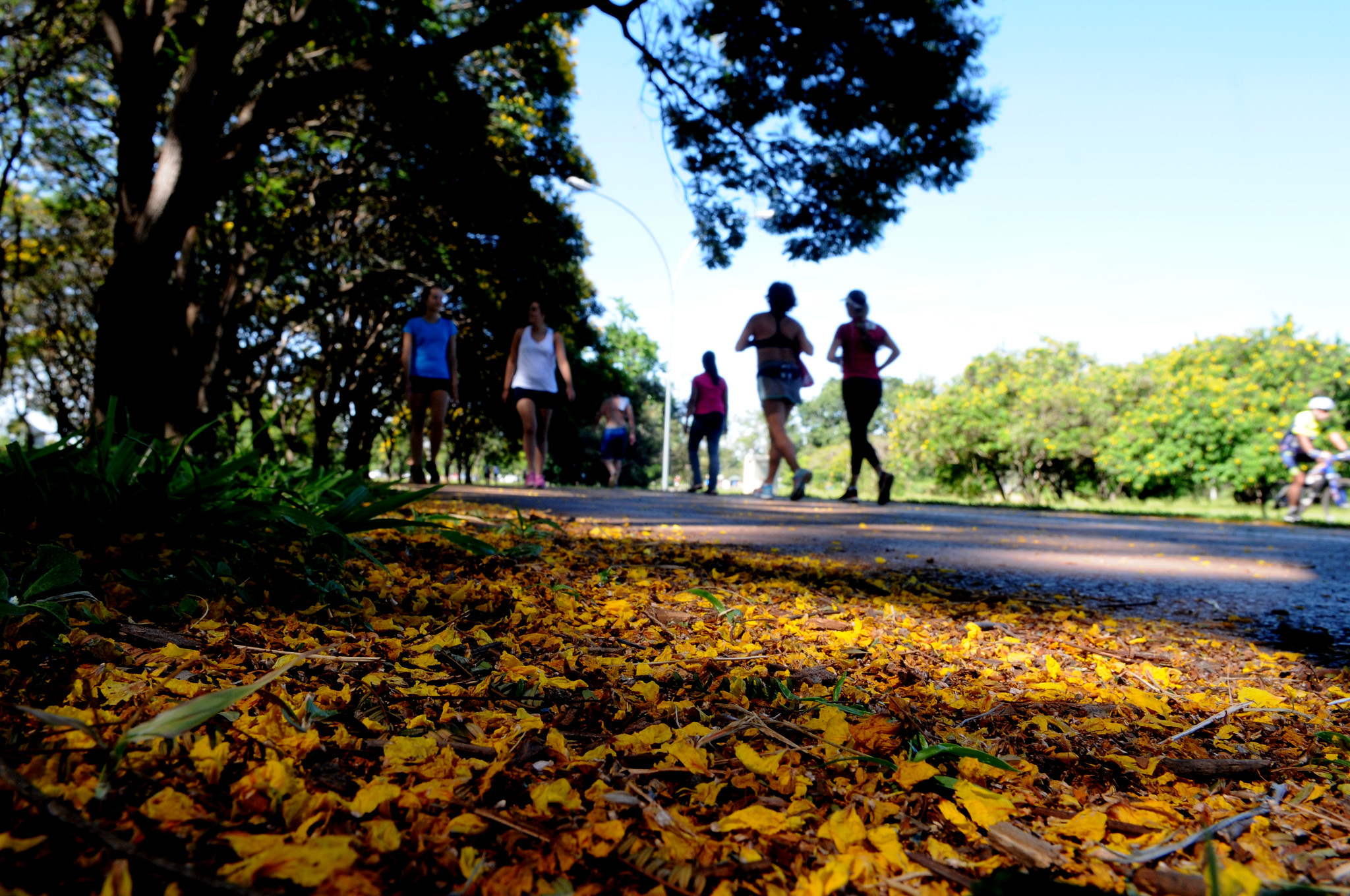 Saúde promove caminhada de conscientização sobre cânceres ginecológicos no Parque da Cidade