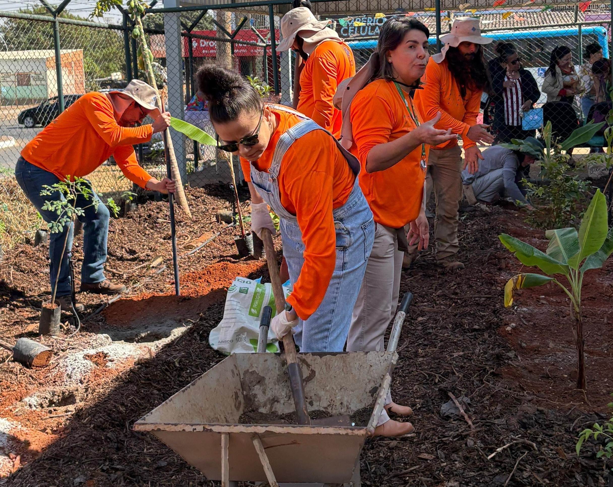 Horto agroflorestal é inaugurado em UBS de Samambaia Sul