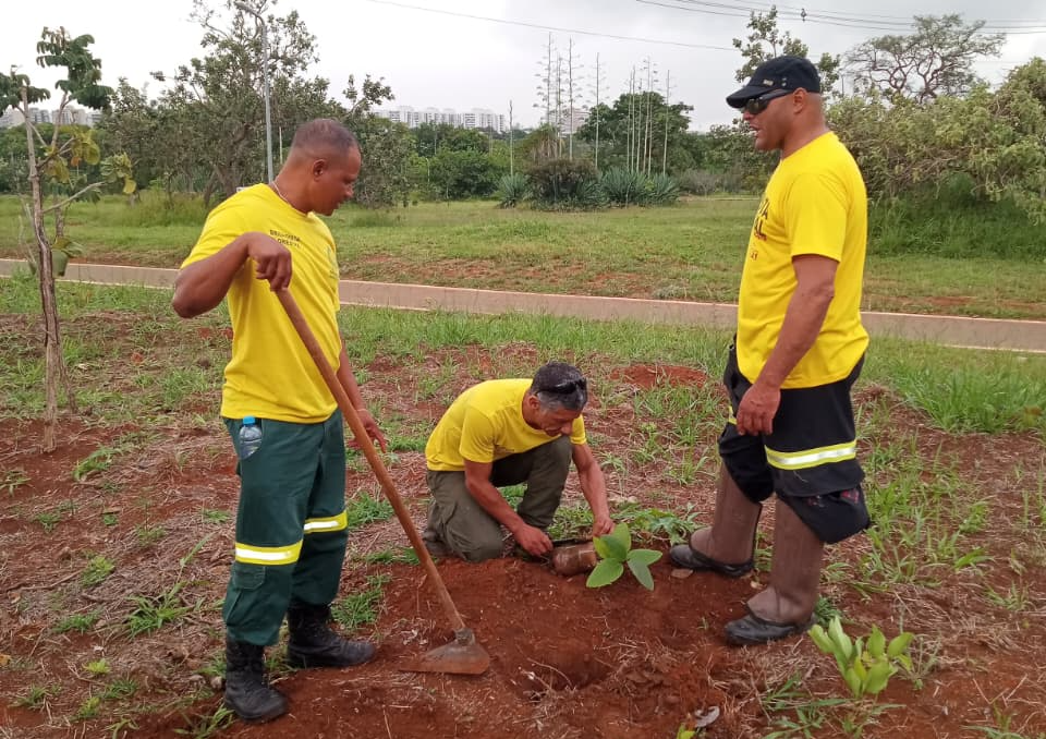 Reserva Biológica do Guará e Parque Ecológico Ezechias Heringer recebem plantio de mudas nativas nas últimas chuvas da estação