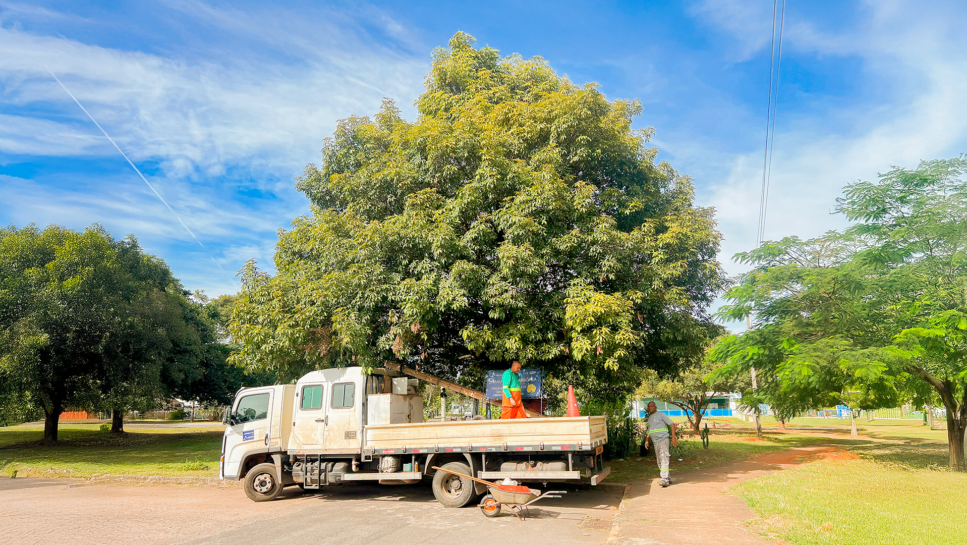 Cruzeiro intensifica podas de árvores para reforçar segurança da população