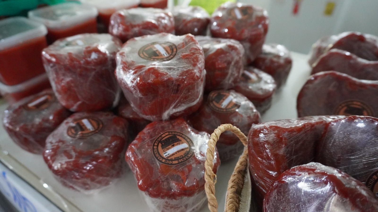 Divulgado resultado final do Projeto Catálogo Conexões e Experiências