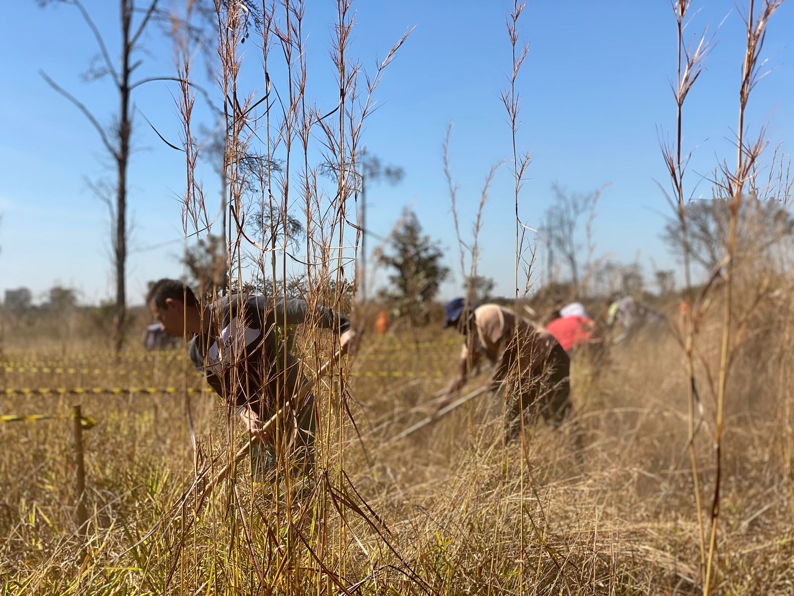 Parque Ezechias Heringer estará fechado para visitação na quinta (6) e na sexta (7)