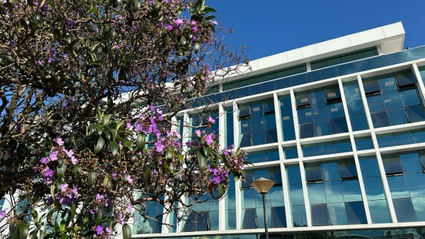 Ouvidoria do Detran-DF é transferida para nova sede na 913 Sul