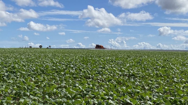 Brasília é a 4ª melhor cidade para fazer negócios no agro