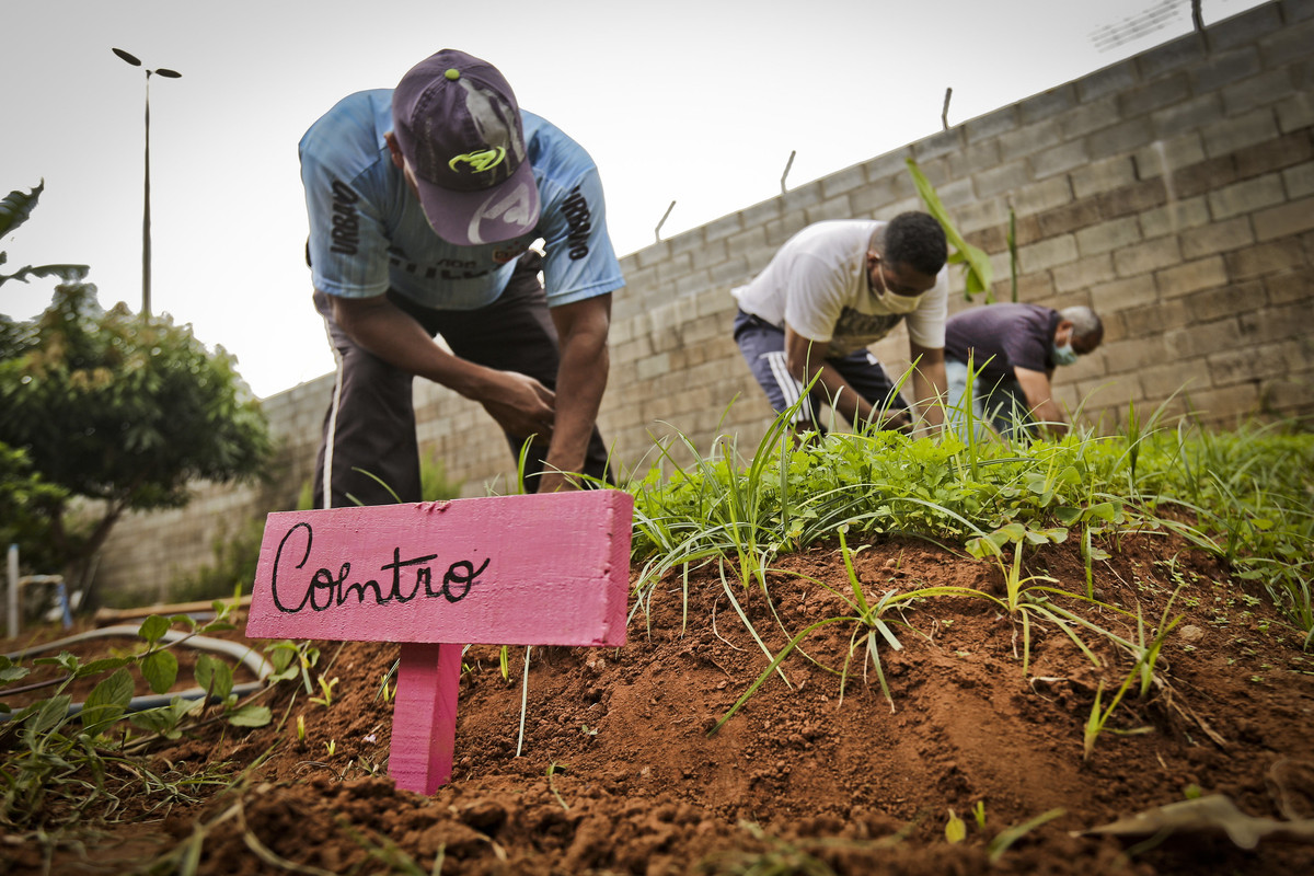 Residências terapêuticas vão possibilitar reabilitação e convívio social
