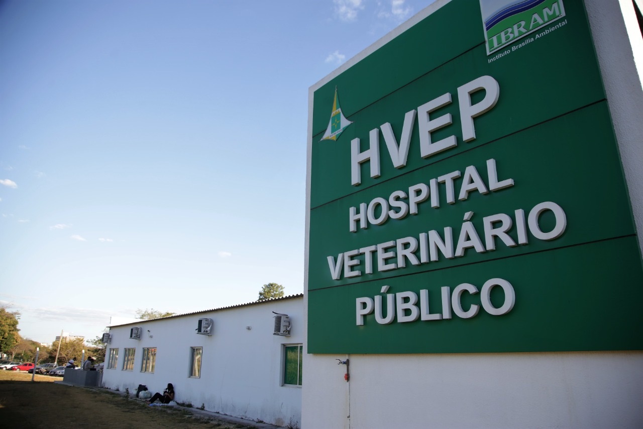 Aberto chamamento público para gestão do Serviço Veterinário Público do DF