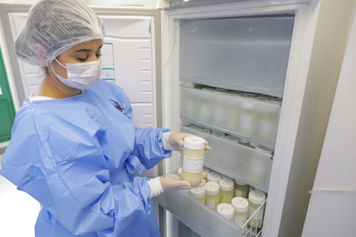 Doação de leite materno é fonte de cura para bebês em UTI neonatal