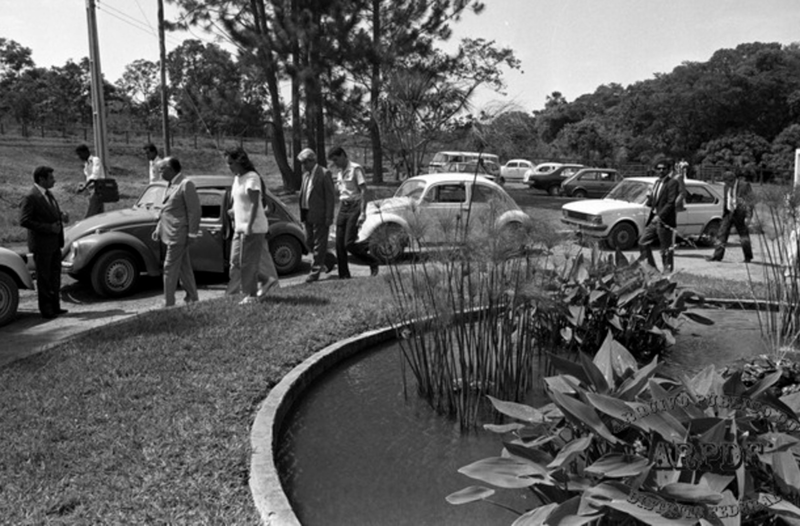 #TBT: Jardim Botânico de Brasília é refúgio da biodiversidade há 39 anos