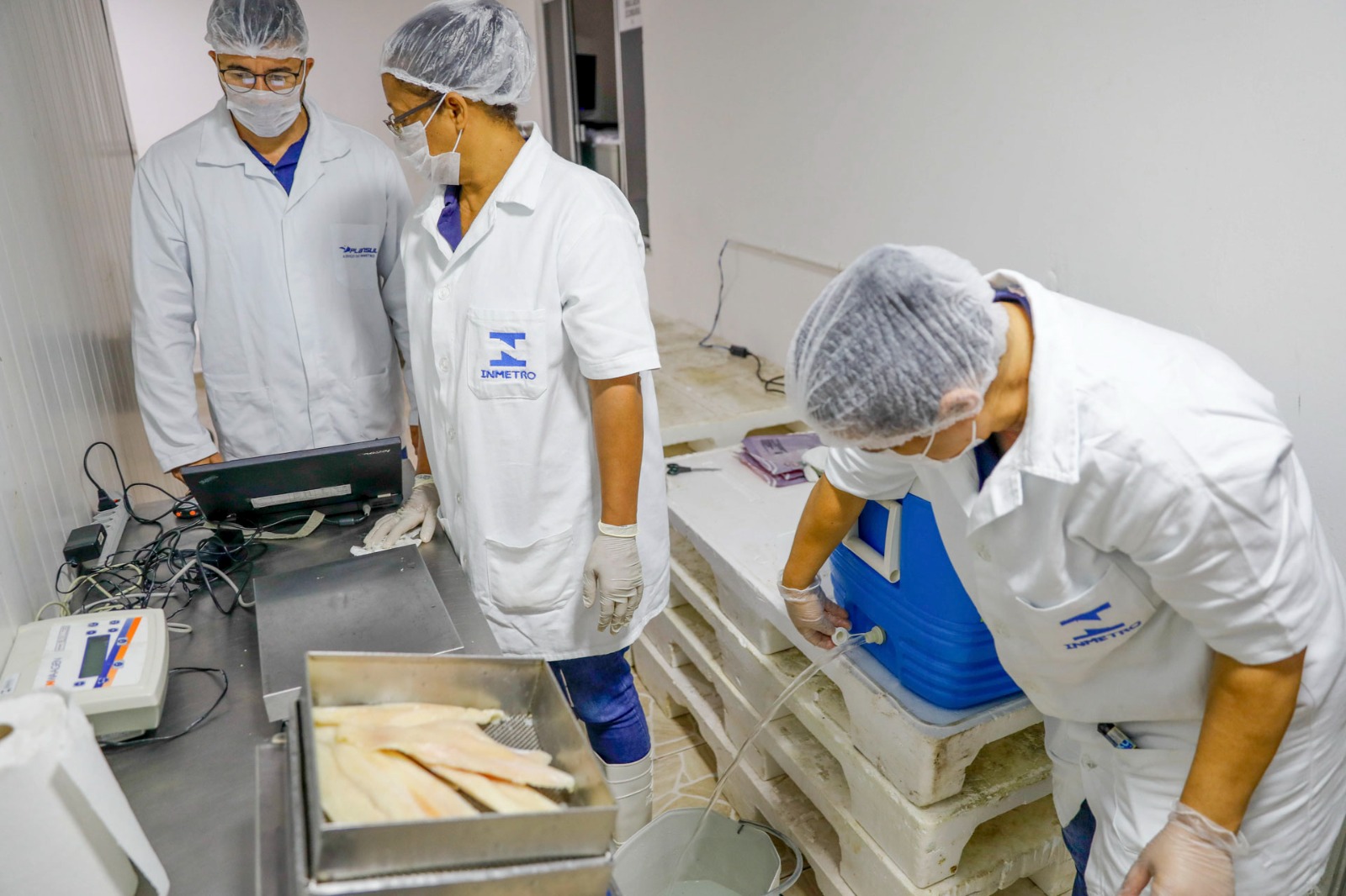 Semana Santa: fiscalização apreende 2,2 toneladas de pescados irregulares