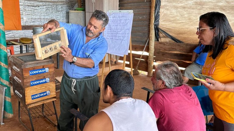 Famílias de Sobradinho são capacitadas na criação de abelhas